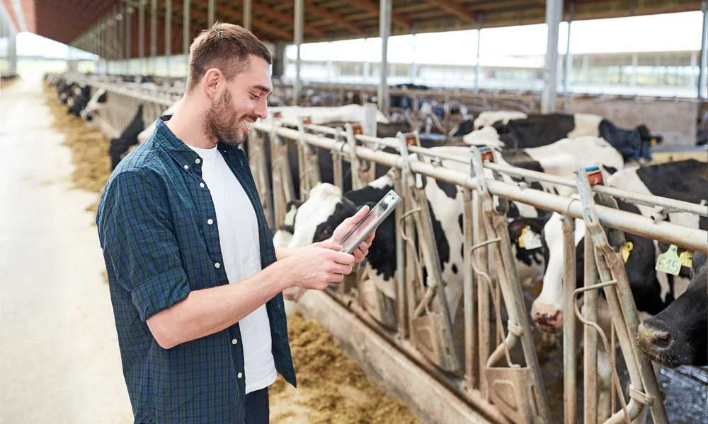 O papel da inteligência artificial na produção agropecuária
